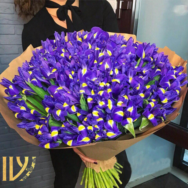 دسته گل عروس زنبق وحشی