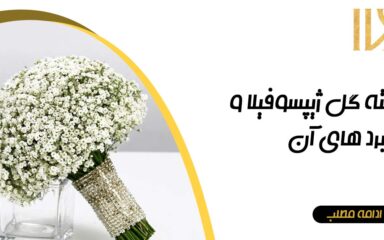دسته گل ژیپسوفیلا