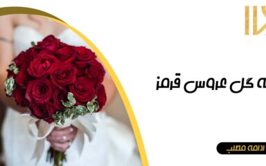 دسته‌گل عروس قرمز