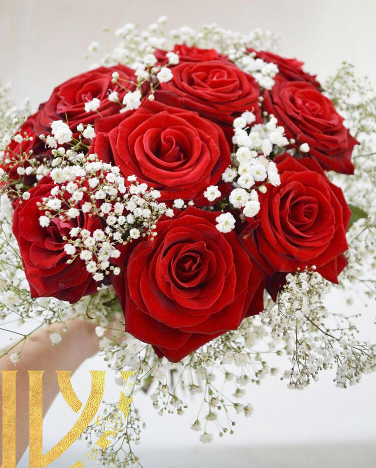 گلهای ژیپسوفیلیا